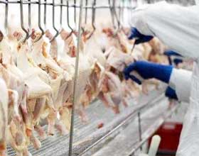 工人工(gong)作(zuo)流(liu)程