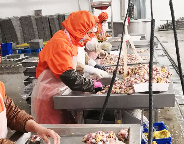 內臟(zang)分(fen)揀