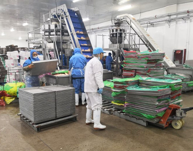 産品(pin)分(fen)類(lei)