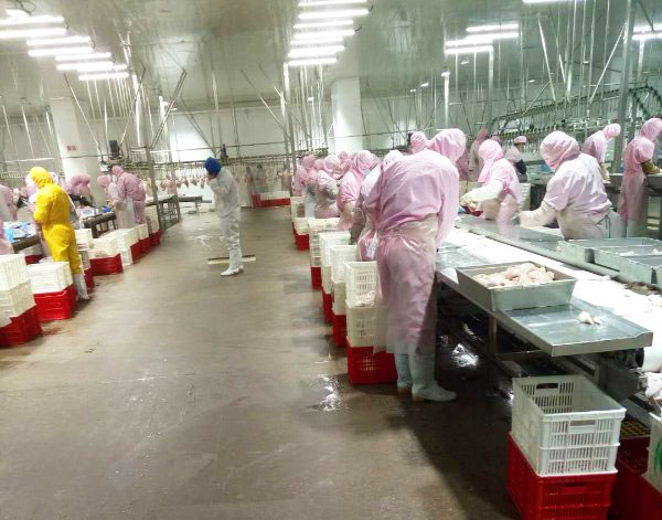 産(chan)品(pin)分揀